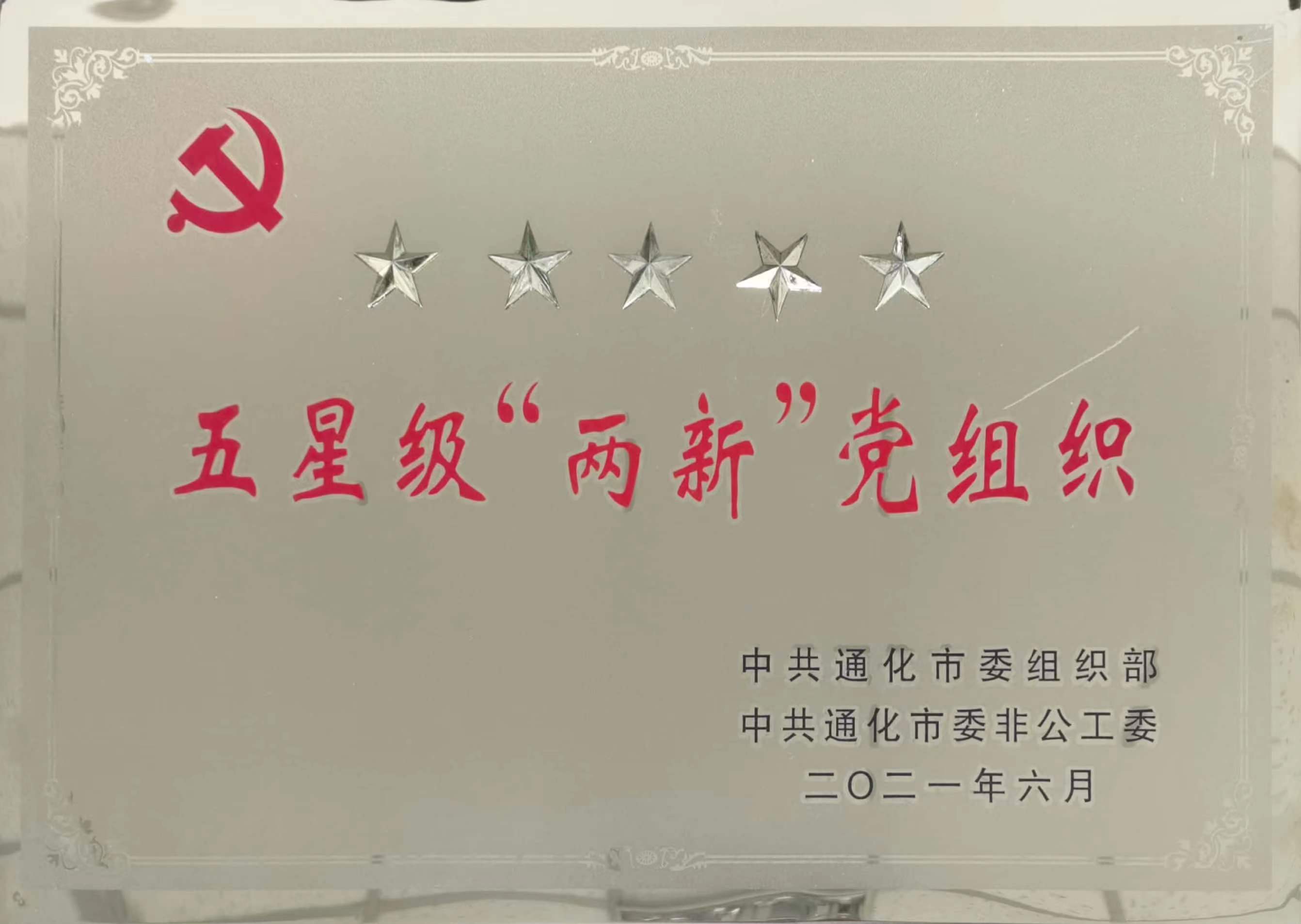 2021.6-五星级“两新”党组织 牌.jpg